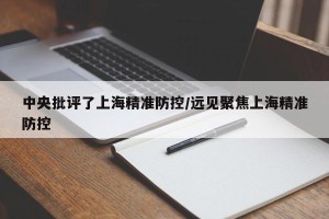 中央批评了上海精准防控/远见聚焦上海精准防控