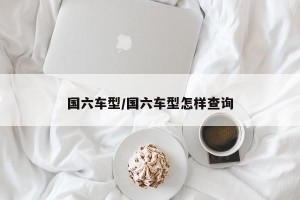 国六车型/国六车型怎样查询