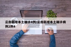 云南新增本土确诊4例/云南新增本土确诊病例2例4
